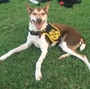 Meet your Posher, Iman